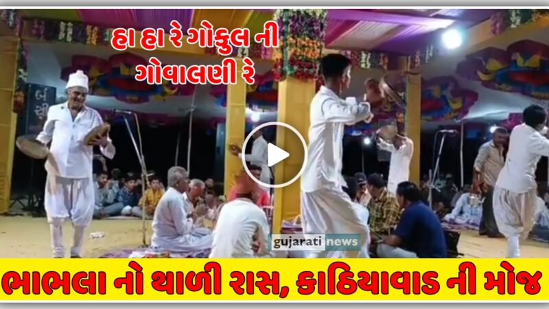 ગામ ના ભાભલા ઓએ કર્યો સુંદર અને મનમોહક થાળી રાસ, જોઈ ને તમે આનંદિત થઇ જશો,જુઓ વિડિઓ…