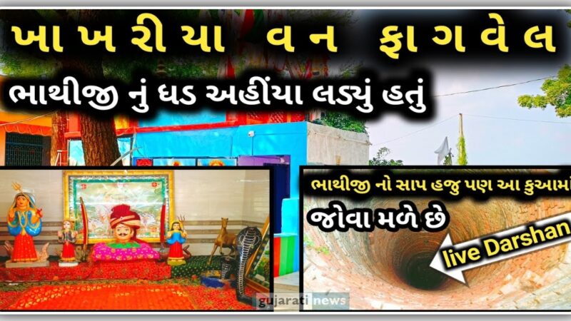 ફાગવેલ ભાથીજી મહારાજ નો ઇતિહાસ, આ જગ્યા એ લડ્યું હતું ભાથીજી નું ધડ