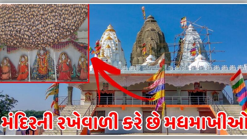 સુરત માં આવેલા ખોડિયાર માતાજીનાં મંદિરની રખેવાળી કરે છે મધમાખીઓ