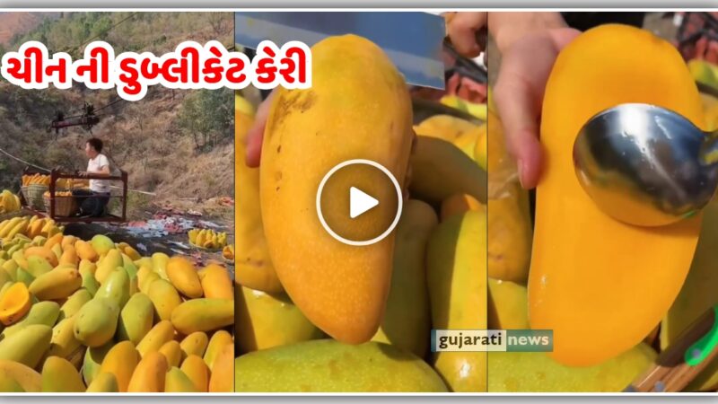 ચીન ની ડુબ્લીકેટ કેરી આવી ગઈ માર્કેટ માં