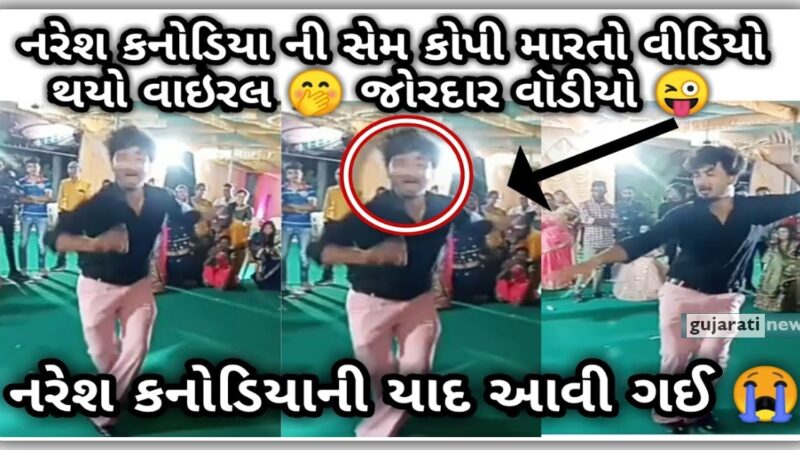 નરેશ કનોડિયા ની સેમ કોપી મારતો વીડિયો થયો વાઇરલ, જુઓ વિડિઓ