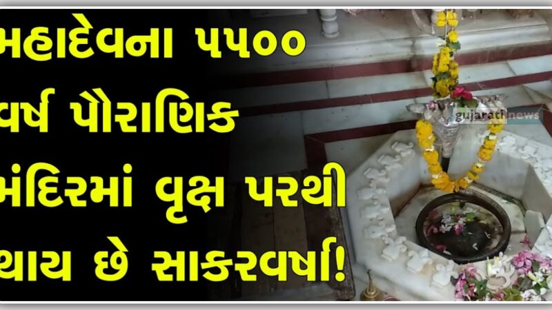 ગુજરાત નું ભીમનાથ મહાદેવ મંદિર ત્યાં ૫૫૦૦ વર્ષ જુના વૃક્ષ માંથી થાય છે સાકરવર્ષા