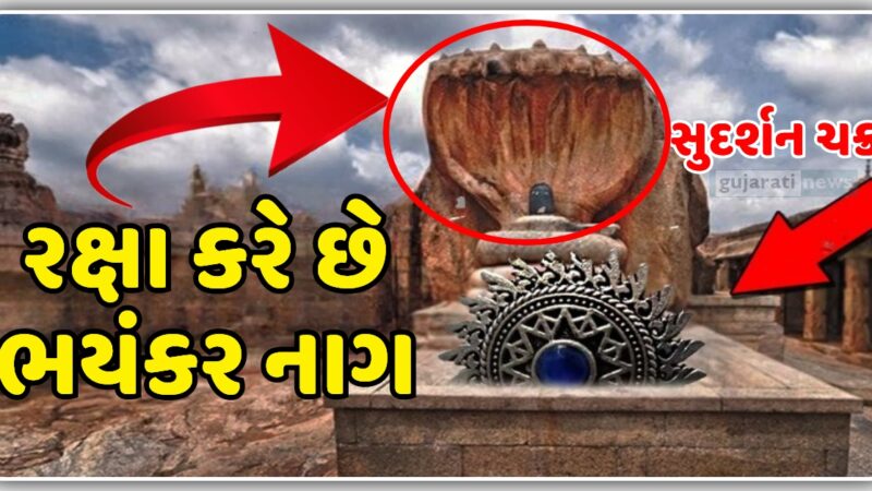 ભગવાન કૃષ્ણ નું સુદર્શન ચક્ર જેની રક્ષા કરે છે ભયંકર નાગ, જુઓ video