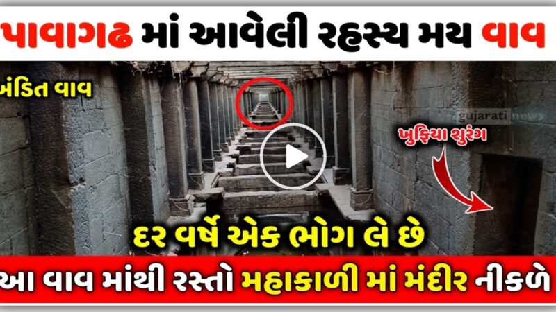 સોળમી સદીની વાવ પાવાગઢ , આ વાવ માથી પાવાગઢ મંદિરે જવાતું , જ્યાં દર વર્ષે ભોગ લેવાય છે