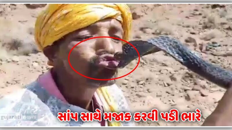 સાંપ સાથે મજાક કરવી પડી ભારે, કાકા ના થયા આવા હાલ , જુઓ વિડિઓ