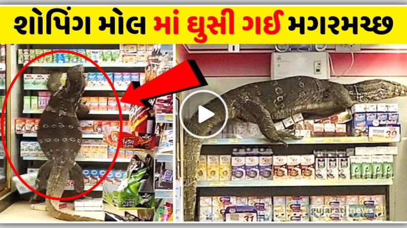 શોપિંગ મોલ માં ઘુસી ગઈ મગરમચ્છ, વિડિઓ જોઈ ને થઈ જશો હેરાન