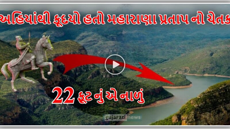 અહિયાંથી કૂદયો હતો મહારાણા પ્રતાપ નો ચેતક, 22 ફૂટ નું એ નાળું, જુઓ વિડિઓ