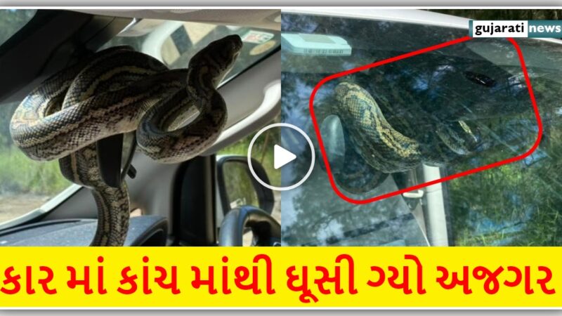 કાર માં કાંચ માંથી ઘૂસી ગ્યો અજગર, પછી વિડિઓ માં જુઓ શું થયું