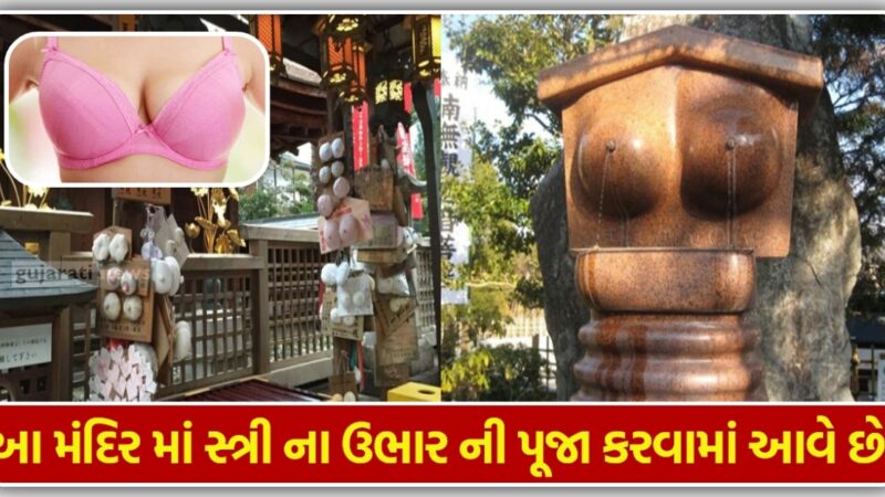 અહીંયા કરવા માં આવે છે મહિલાઓ ના ઉભાર ની પૂજા, જુઓ