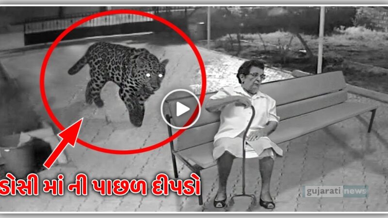 ડોસી માં ની પાછળ આવ્યો દીપડો, સમગ્ર ઘટના માં CCTV કેદ, જુઓ વીડિયો