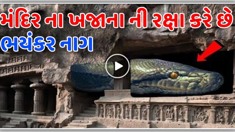 આ મંદિર ના ખજાના ની રક્ષા કરે છે આ ભયંકર નાગ, જુઓ વીડિયો