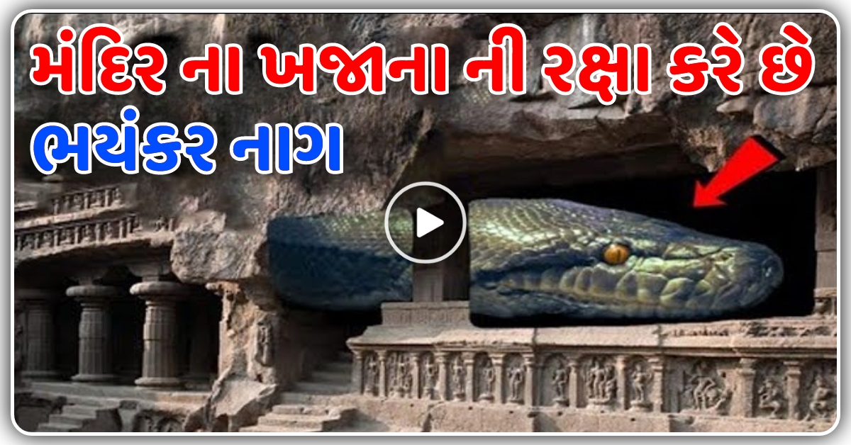 આ મંદિર ના ખજાના ની રક્ષા કરે છે આ ભયંકર નાગ, જુઓ વીડિયો