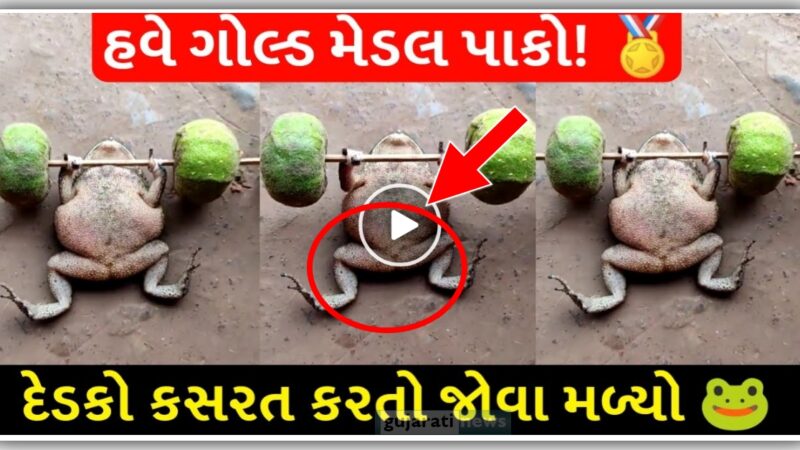 જુઓ દેડકો કસરત કરતા જોવા મળ્યો !! વિડીયો જોઇને મજા પડી જશે