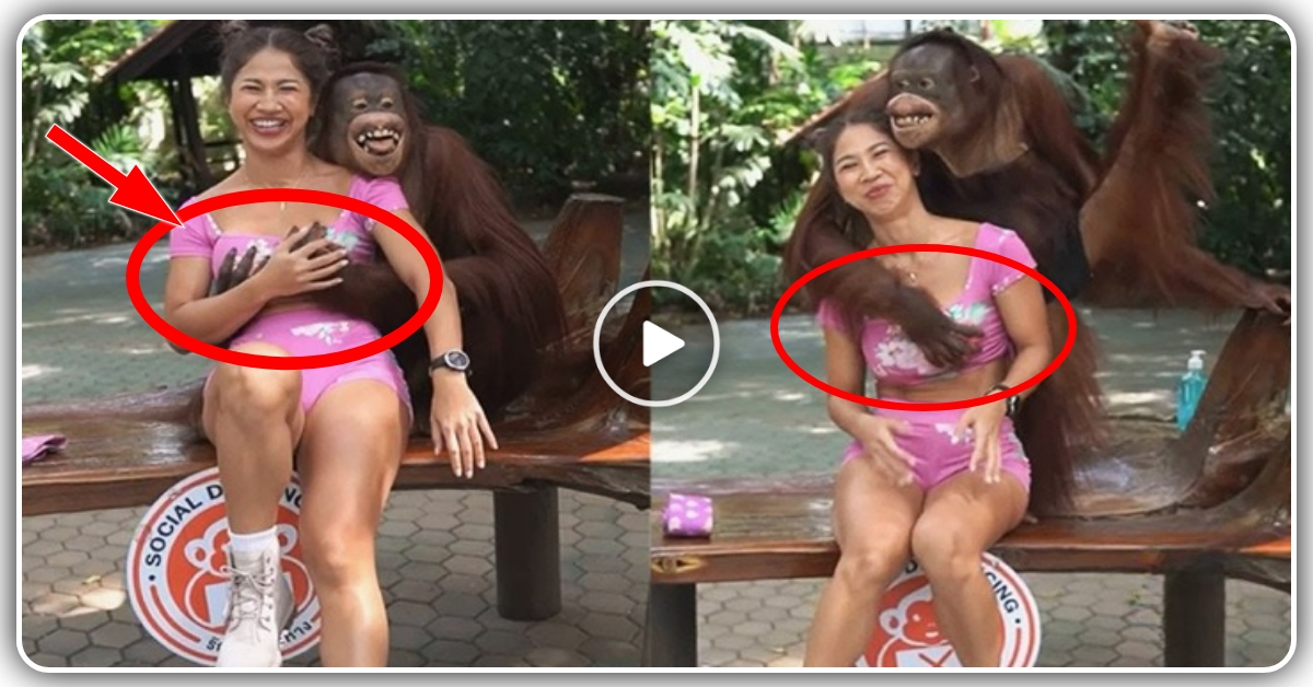 છોકરી વાંદરાની સાથે ફોટો પડાવી રહી હતી અને અચાનક વાંદરો મસ્તીના મૂડમાં આવી ગયો, જુઓ video…