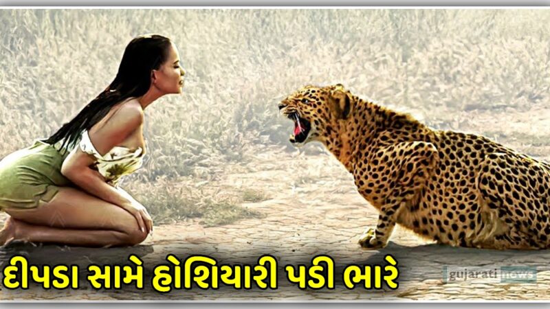 દીપડા સામે હોશિયારી પડી ભારે, જુઓ વીડિયો માં