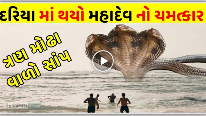 મહાદેવ નો ચમત્કાર, જોવા મળ્યો ત્રણ મોઢા વાળો સાંપ, વાયરલ વીડિયો