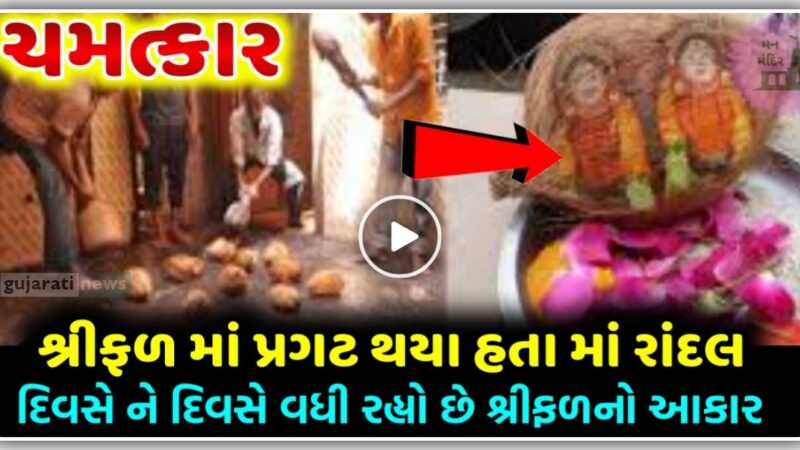 ચમત્કાર – શ્રીફળમાં પ્રગટ થયા હતા માં રાંદલ, દિવસે ને દિવસે વધી રહ્યો છે શ્રીફળનો આકાર, જુઓ વિડિઓ