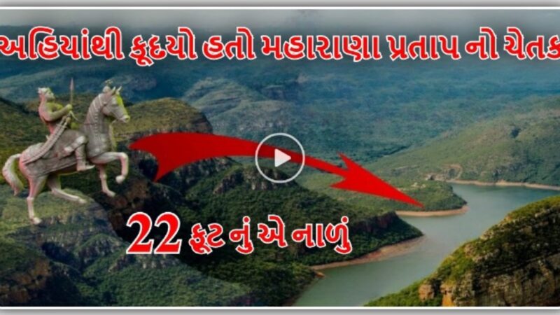 અહિયાંથી કૂદયો હતો મહારાણા પ્રતાપ નો ચેતક, 22 ફૂટ નું એ નાળું, જુઓ વિડિઓ…