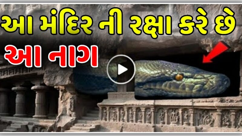 આ મંદિર ના ખજાના ની રક્ષા કરે છે આ ભયંકર નાગ…