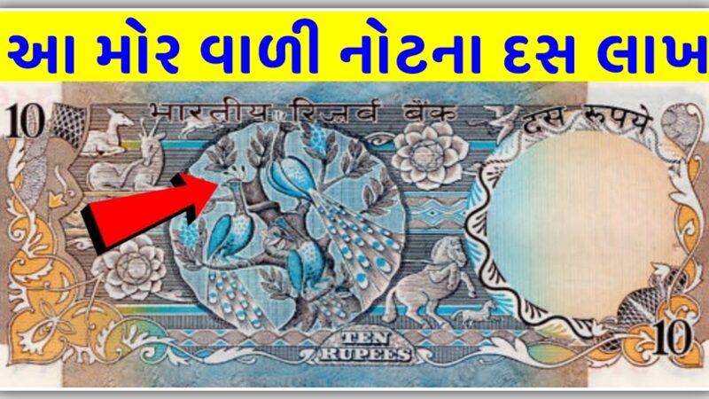 મોર વાળી દસ ની નોટના 10 લાખ રૂપિયા, જુઓ વીડિયો