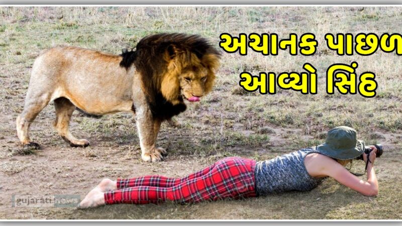 અચાનક છોકરી  ની પાછળ આવી ગયો ડાલામથ્થો, જુઓ વિડિયો