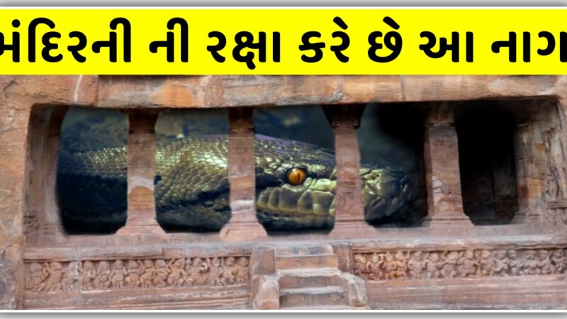 આ મંદિર ના ખજાના ની રક્ષા કરે છે આ ભયંકર નાગ