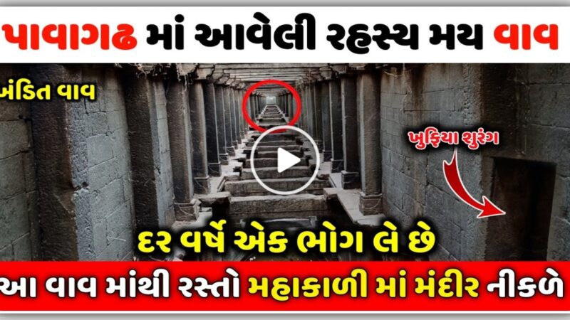 પાવાગઢ માં આવેલી છે એક રહસ્યમય વાવ, અહીં થી મહાકાળી મંદિર જવાનો રસ્તો પણ નીકળે છે, આ વાવ દર વર્ષે એક નો ભોગ લે છે…