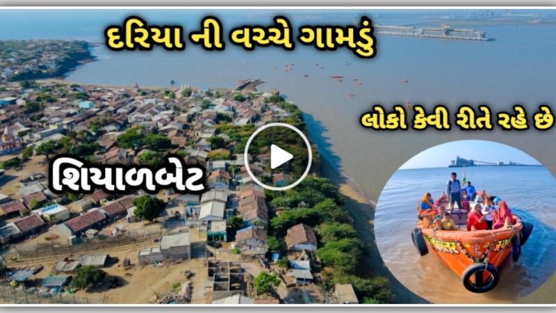 દરિયા વચ્ચે આવેલું છે શિયાળબેટ ગામ, કેવી રીતે રહે અહીંયા ના લોકો, જુઓ વિડિયો…