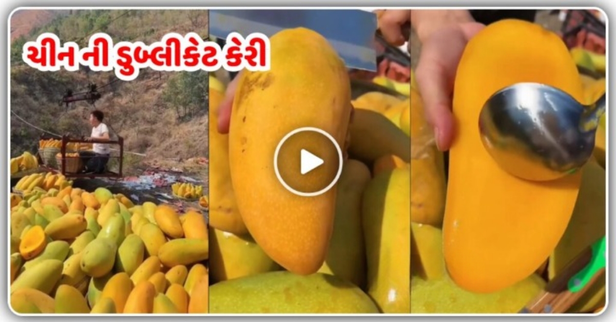 ચીન ની ડુબ્લીકેટ કેરી આવી ગઈ માર્કેટ માં