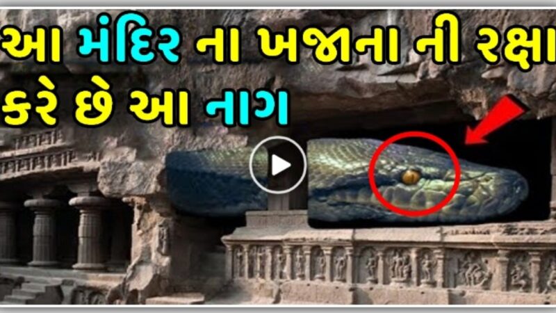 આ મંદિર ના ખજાના ની રક્ષા કરે છે આ ભયંકર નાગ