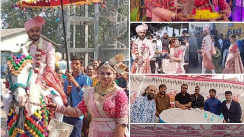 ગુજરાતી કલાકાર અલ્પાબેન પટેલ ના લગ્ન ના ફોટાઓ જુઓ ખાસ ફોટાઓ…