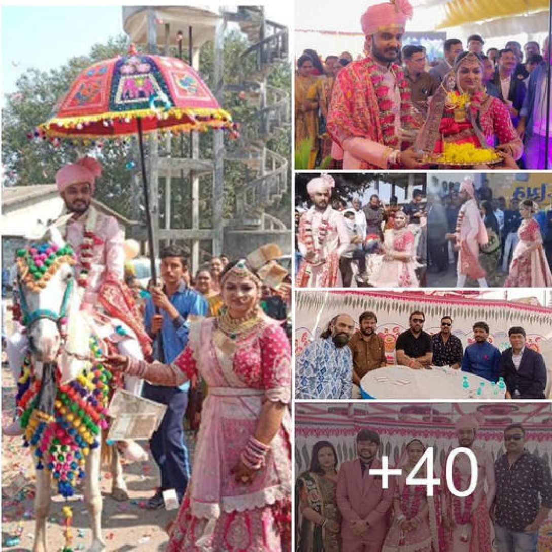 ગુજરાતી કલાકાર અલ્પાબેન પટેલ ના લગ્ન ના ફોટાઓ જુઓ ખાસ ફોટાઓ…