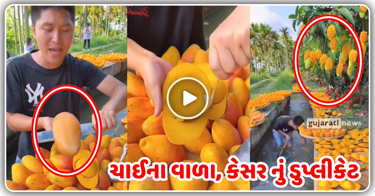 ચીન વાળા એ કરી નાખી કેસર કેરી ની કોપી જુઓ વિડિઓ…