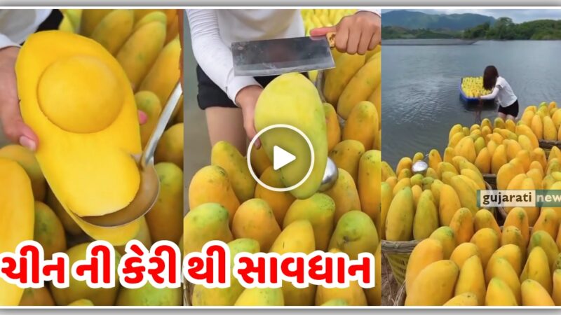 ચીન ની કેરી થી સાવધાન, જુઓ માર્કેટ માં આવી ગઈ…