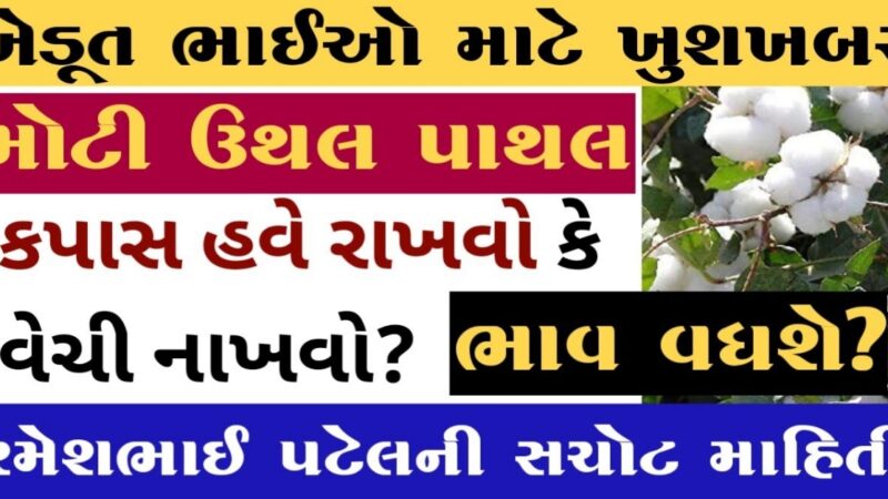 કપાસ ના ખેડૂતો માટે મોટી ખુશખબરી | રમેશભાઈ પટેલની સચોટ માહિતી | કપાસ રાખવો કે વેચી નખવો?