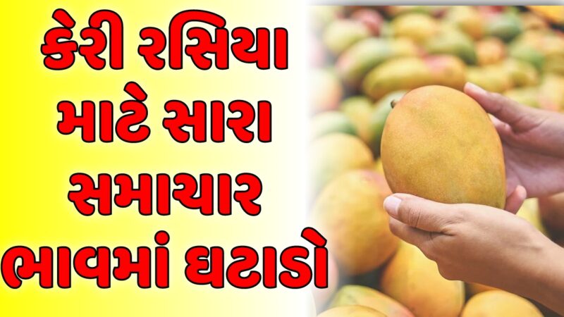 વાહ વાહ મોજ પડી ગઈ…..કેરી ના ભાવ માં થયો ઘટાડો, એક બોક્સ ની કિંમત જાણી ને ચોકી જશો…