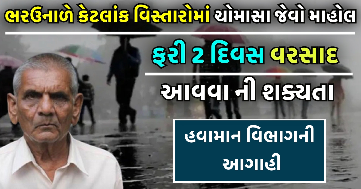 આગામી બે દિવસમાં ગુજરાતના વિવિધ જિલ્લાઓમાં કમોસમી વરસાદ પડવાની હવામાન વિભાગ દ્વારા આગાહી