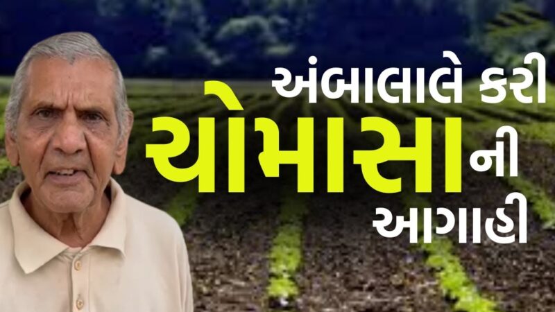 ગુજરાતમાં સાંજે 7 વાગ્યા સુધીમાં આ વિસ્તારોમાં વરસાદની આગાહી…