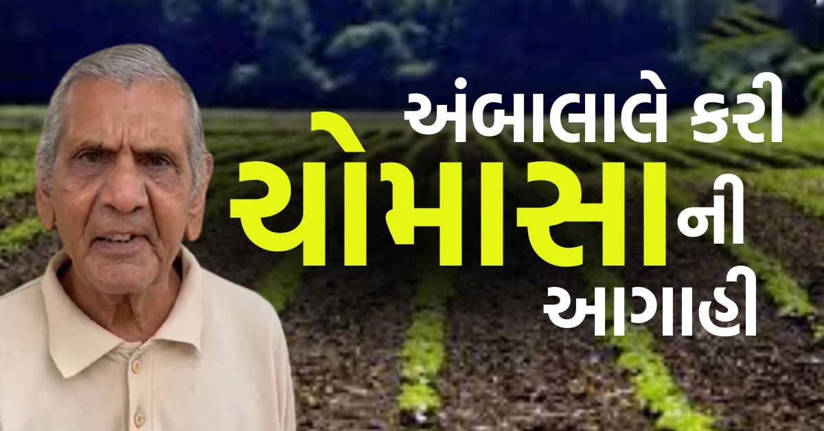 ગુજરાતમાં સાંજે 7 વાગ્યા સુધીમાં આ વિસ્તારોમાં વરસાદની આગાહી…