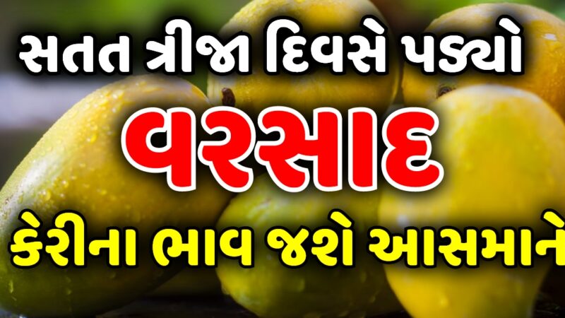 સતત ત્રીજા દિવસે પડ્યો વરસાદ, કેરીના ભાવ જશે આસમાને